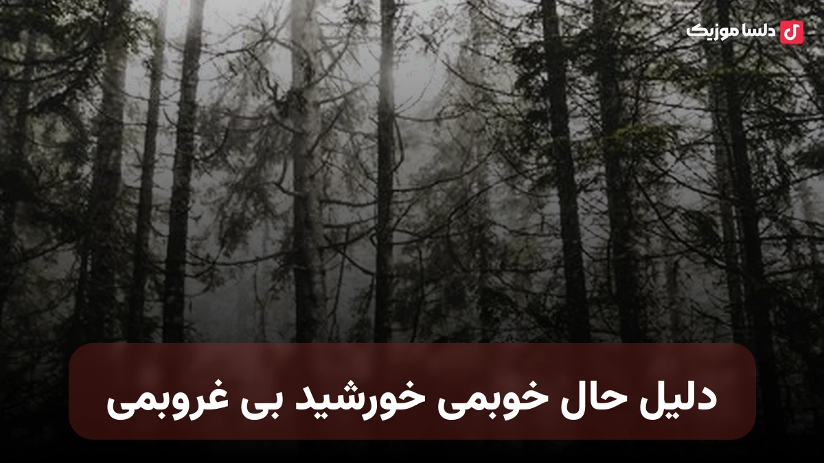 دلیل حال خوبمی خورشید بی غروبمی نم نم بارون شمال